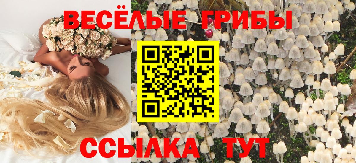 Галлюциногенные грибы Cubensis Видное